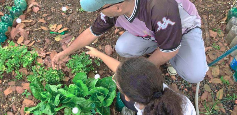 Horta permite convivência e troca de experiências entre gerações Horta permite convivência e troca de experiências entre gerações