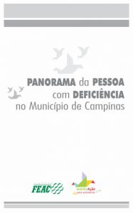 panorama da pessoa com deficiencia
