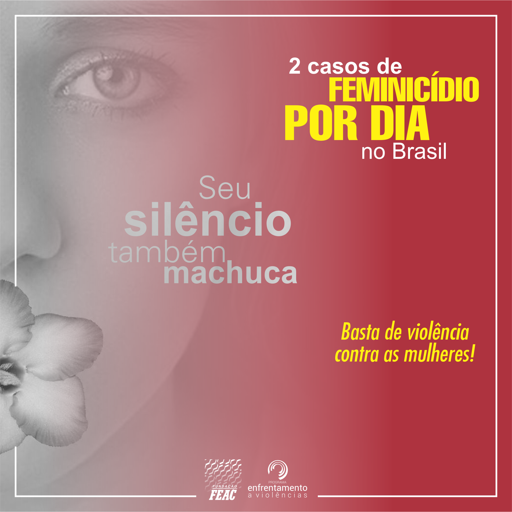 seu-silencio-machuca1 2 casos de feminicídio por dia no Brasil